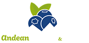 andean-berries-and-berries-logo